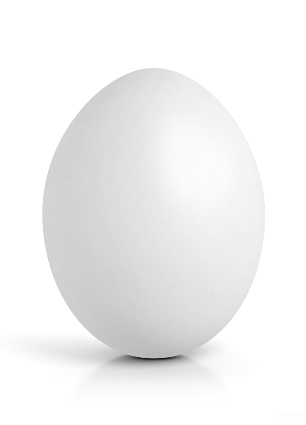 Ein Ei aus der Produktion von ravensbuerger eier